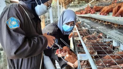 resmi-dibuka!-pendaftaran-magang-bergaji-rp3,3-juta-untuk-fresh-graduate,-simak-syarat-dan-cara-daftarnya
