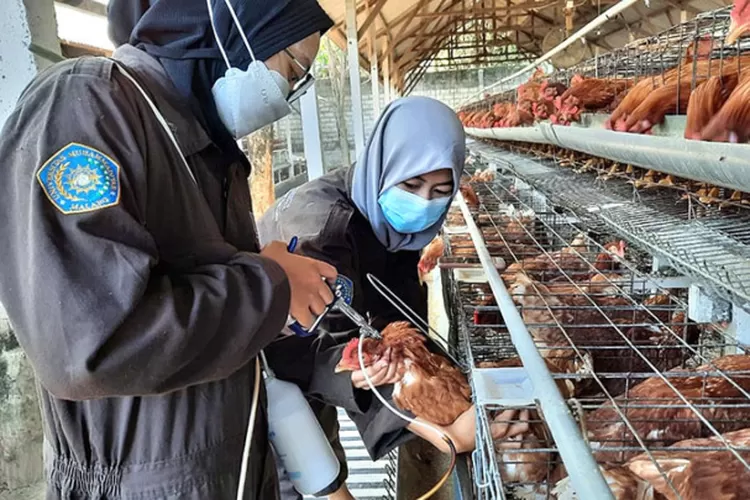 resmi-dibuka!-pendaftaran-magang-bergaji-rp3,3-juta-untuk-fresh-graduate,-simak-syarat-dan-cara-daftarnya