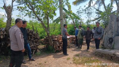 operasi-gabungan-ungkap-10-batang-kayu-jati-ilegal-di-tegaldlimo-banyuwangi