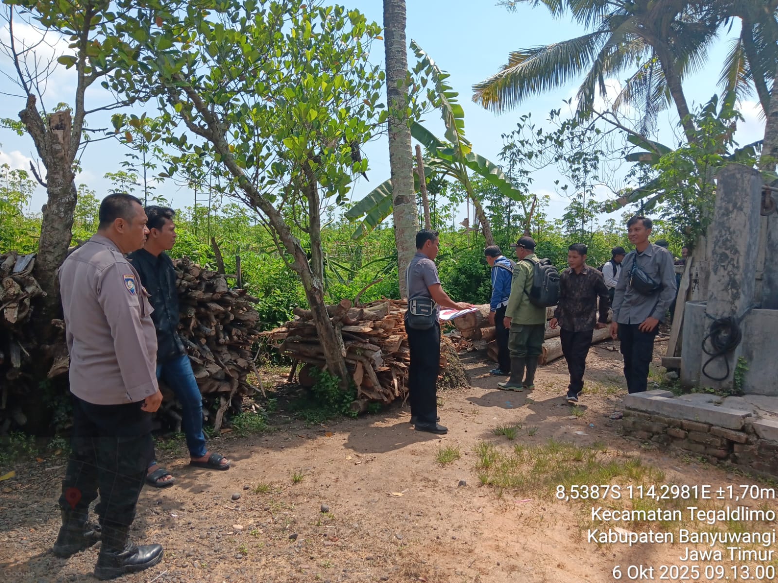 operasi-gabungan-ungkap-10-batang-kayu-jati-ilegal-di-tegaldlimo-banyuwangi