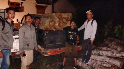 ilegal-logging-di-kawasan-hutan-kph-banyuwangi-selatan-digagalkan-petugas-perhutani