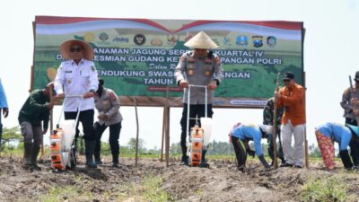 produksi-tembus-199-ribu-ton,-banyuwangi-genjot-tanam-jagung-dukung-swasembada-pangan-presiden