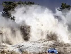 Potensi Tsunami di Sulawesi Utara dan Papua, Ini Daerah yang Diwaspadai BMKG