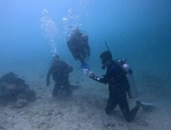 Aksi Nyata Selamatkan Laut Banyuwangi: Terumbu Karang Ditanam Bersama TNI AL dan Mahasiswa