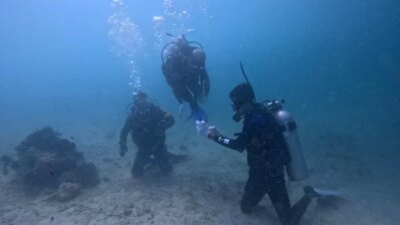 aksi-nyata-selamatkan-laut-banyuwangi:-terumbu-karang-ditanam-bersama-tni-al-dan-mahasiswa