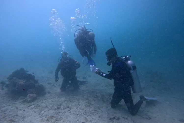 aksi-nyata-selamatkan-laut-banyuwangi:-terumbu-karang-ditanam-bersama-tni-al-dan-mahasiswa