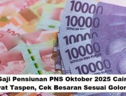 Kabar Gembira! Pensiunan PNS Dapat Rapel Kenaikan Gaji November 2025, Naik Hingga 12 Persen Sesuai Perpres Baru