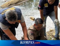 Jasad Bayi Tanpa Baju Tersangkut di Bebatuan Sungai Setail Banyuwangi