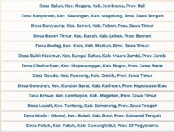 Inilah Deretan Desa Terbaik Desa BRILiaN 2025: Baluk Bali Juara, Duduksampeyan Gresik Paling Buncit