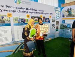 Banyuwangi jadi Percontohan Budi Daya Udang Berkelanjutan