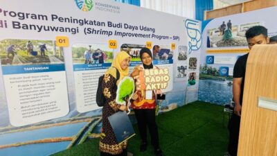 banyuwangi-jadi-percontohan-budi-daya-udang-berkelanjutan