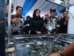 Bahas Ekspor ke Amerika, Ratusan Pengusaha Udang se-Indonesia Kumpul di Banyuwangi – TIMES Banyuwangi