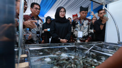 bahas-ekspor-ke-amerika,-ratusan-pengusaha-udang-se-indonesia-kumpul-di-banyuwangi-–-times-banyuwangi