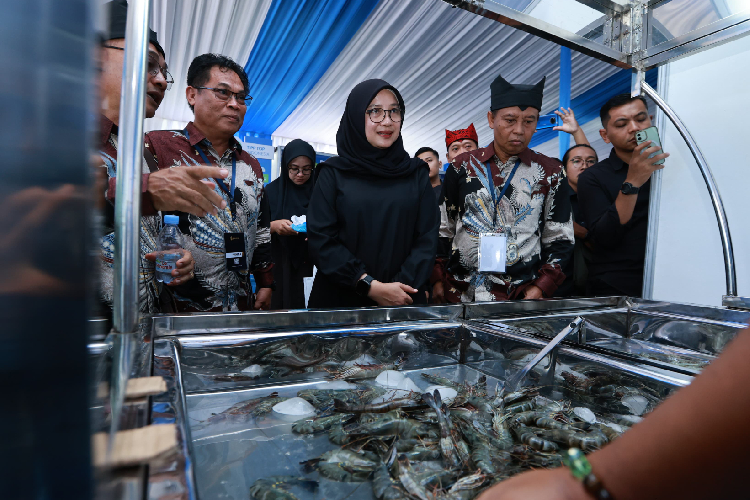 bahas-ekspor-ke-amerika,-ratusan-pengusaha-udang-se-indonesia-kumpul-di-banyuwangi-–-times-banyuwangi
