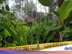 Ayah Pelaku Pembunuhan Siswi MI Banyuwangi Minta Sidang Terbuka