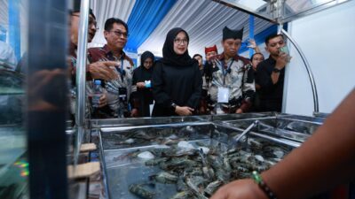 ratusan-pelaku-industri-udang-berbagai-daerah-di-indonesia-kumpul-di-banyuwangi,-bahas-ekspor-ke-as