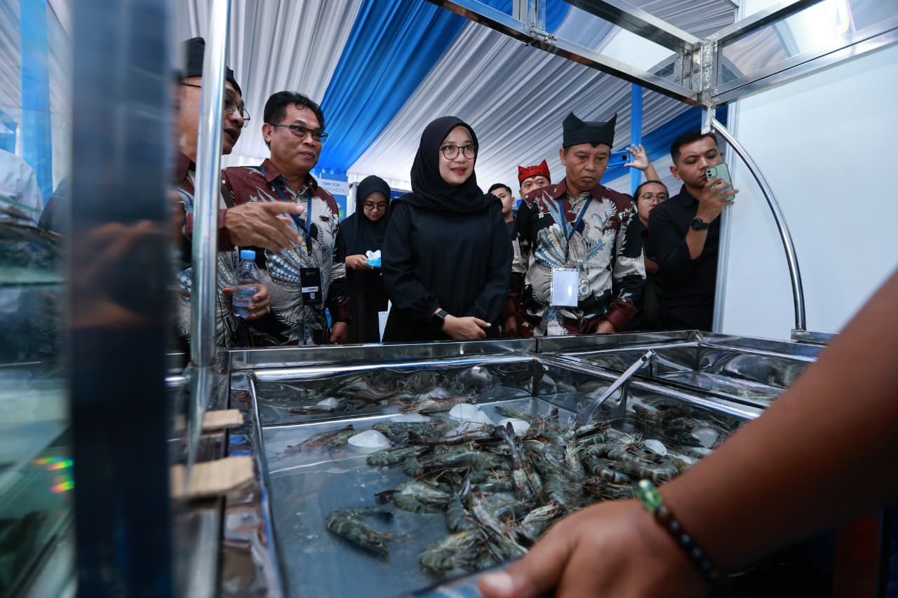 ratusan-pelaku-industri-udang-berbagai-daerah-di-indonesia-kumpul-di-banyuwangi,-bahas-ekspor-ke-as