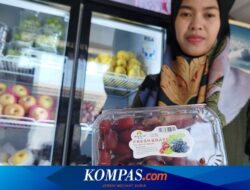 Kecipratan Berkah Program MBG, Omzet UMKM di Banyuwangi Naik 50 Persen