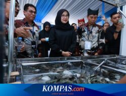 Bupati Ipuk Dukung Forum Shrimp Fair Banyuwangi, Dorong Solusi Ekspor Udang ke AS
