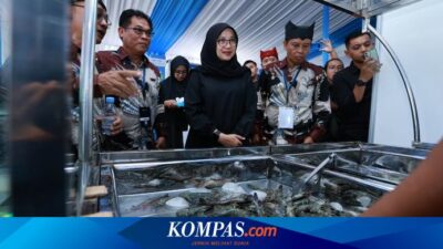 bupati-ipuk-dukung-forum-shrimp-fair-banyuwangi,-dorong-solusi-ekspor-udang-ke-as