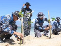 Pulau Tabuhan Terancam Hilang! Lanal Banyuwangi Bergerak Tanam Mangrove Cegah Abrasi