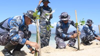 pulau-tabuhan-terancam-hilang!-lanal-banyuwangi-bergerak-tanam-mangrove-cegah-abrasi