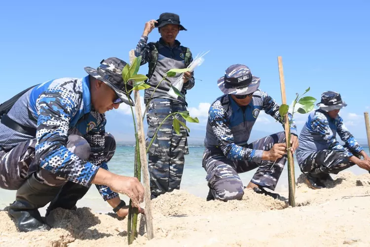 pulau-tabuhan-terancam-hilang!-lanal-banyuwangi-bergerak-tanam-mangrove-cegah-abrasi