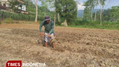 pemerintah-mengklaim-wacana-bbm-etanol-10-persen-bisa-sejahterakan-petani-–-times-banyuwangi