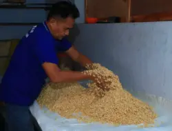 Program Pembinaan Baru Lapas Banyuwangi, Warga Binaan Produksi Tempe