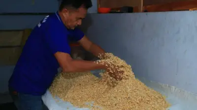program-pembinaan-baru-lapas-banyuwangi,-warga-binaan-produksi-tempe