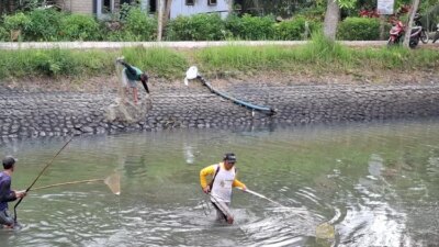 warga-ramai-cari-ikan-saat-dam-karangdoro-dikeringkan,-momen-setahun-sekali-yang-ditunggu