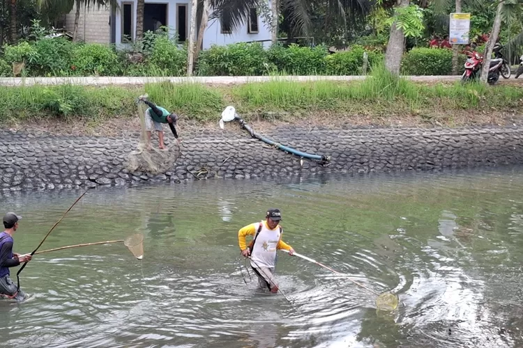 warga-ramai-cari-ikan-saat-dam-karangdoro-dikeringkan,-momen-setahun-sekali-yang-ditunggu