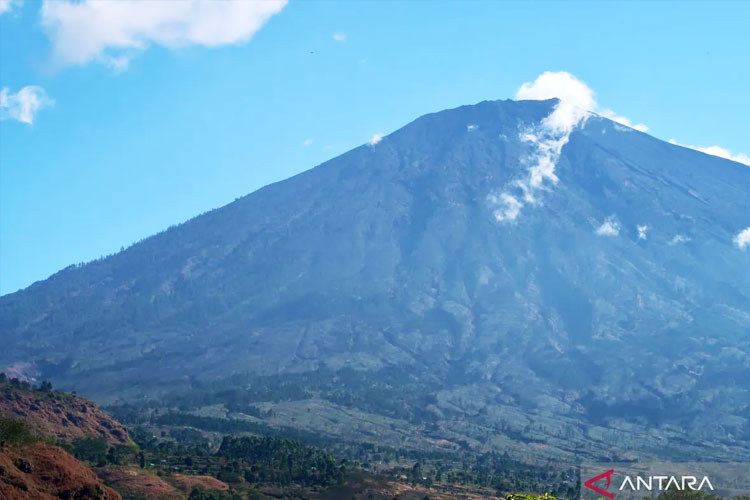 api-lahap-10-hektare-di-kawasan-taman-nasional-gunung-rinjani-–-times-banyuwangi