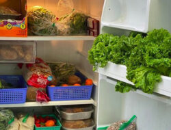 Menyimpan Sayuran di Kulkas Agar Tetap Segar dan Tahan Lama – TIMES Banyuwangi