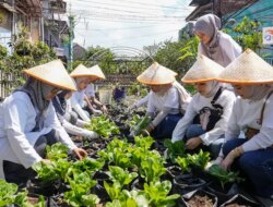 Panen Raya Urban Farming BRI di Bandung: BRInita Bantu Warga Ubah Lahan Sempit Jadi Sumber Pangan Berkelanjutan!