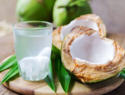 Air Kelapa: Penyelamat Ginjal atau Bahaya Tersembunyi? – TIMES Banyuwangi