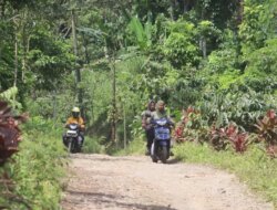 Proyek Gumitir Selesai, Warga Mrawan Keluhkan Jalan Perkebunan Tak Tersentuh Perbaikan