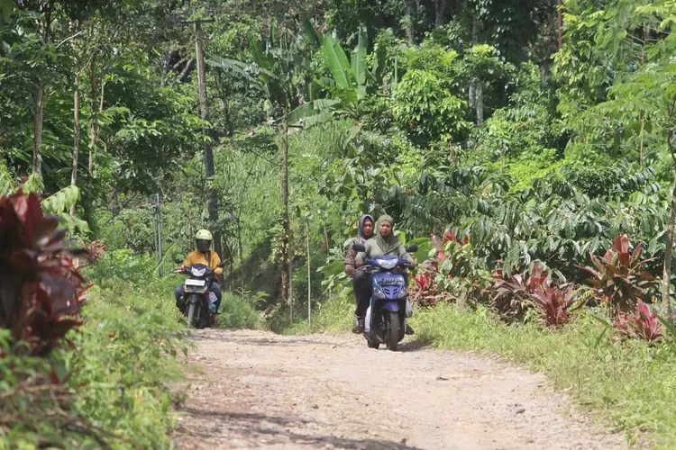 proyek-gumitir-selesai,-warga-mrawan-keluhkan-jalan-perkebunan-tak-tersentuh-perbaikan