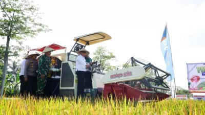 banyuwangi-berkontribusi-besar-dalam-capaian-swasembada-pangan-nasional,-produksi-beras-surplus,-tembus-307.244-ton!