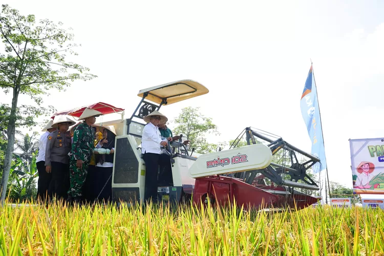 banyuwangi-berkontribusi-besar-dalam-capaian-swasembada-pangan-nasional,-produksi-beras-surplus,-tembus-307.244-ton!