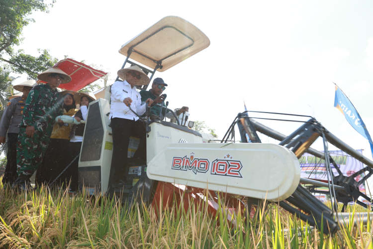 perkuat-sinergi-swasembada-pangan,-pemkab-banyuwangi-gandeng-pupuk-kaltim-–-times-banyuwangi