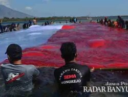 Tanggal 28 Oktober Hari Apa? Begini Asal-Usul Hari Sumpah Pemuda yang Jadi Simbol Persatuan Indonesia