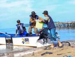 BRI Hadirkan Perahu Literasi di Tolitoli: Buku, Film Edukasi, dan Harapan Baru untuk Anak Pesisir Indonesia!
