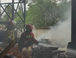 Pabrik Triplek di Banyuwangi Terbakar Telan Kerugian Rp300 Juta