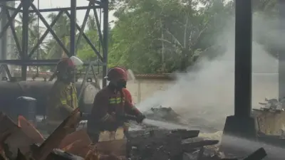 pabrik-triplek-di-banyuwangi-terbakar-telan-kerugian-rp300-juta