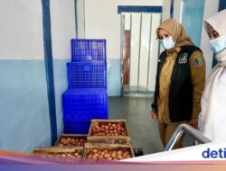 Bupati Ipuk Tinjau Dapur MBG: Semua Harus Sesuai SOP