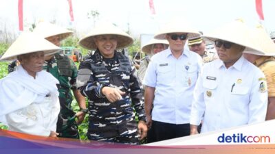 banyuwangi-sukses-tanam-kedelai-garuda-merah-putih,-siap-diperluas