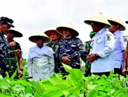 Program KLIK Sehati Disperikan Banyuwangi: Bikin Ikan Sehat, Pembudi Daya Untung, dan Lingkungan Tetap Lestari!