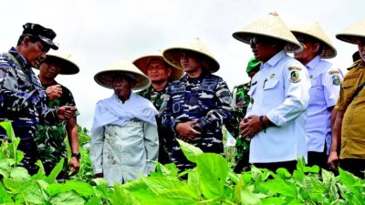 program-klik-sehati-disperikan-banyuwangi:-bikin-ikan-sehat,-pembudi-daya-untung,-dan-lingkungan-tetap-lestari!
