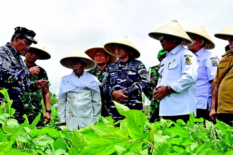 program-klik-sehati-disperikan-banyuwangi:-bikin-ikan-sehat,-pembudi-daya-untung,-dan-lingkungan-tetap-lestari!